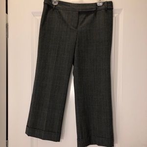 Ann Taylor Capri Pants